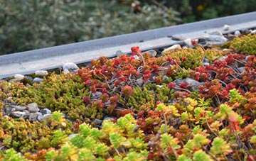 the cost of Gilgarran green roof installation